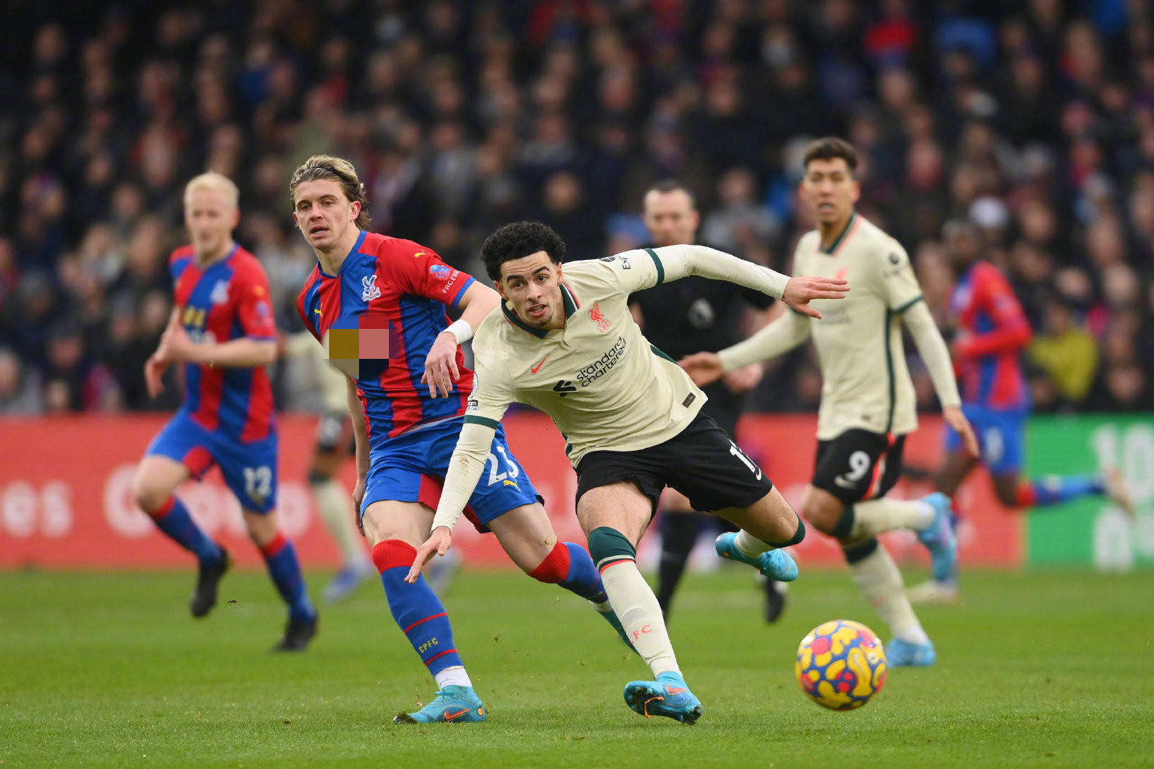 蘭的聯合申 蘭的聯合申